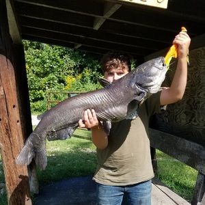 Meet your Posher, Dalton